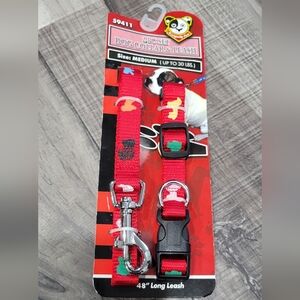 Red Dog Leash and Collar Set